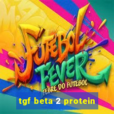 tgf beta 2 protein